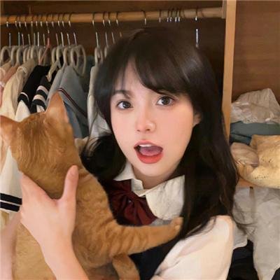 被炉、蜜桔和小猫